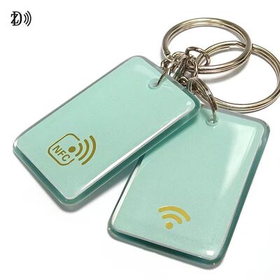 Kartu Kontrol Akses Pencetakan yang Disesuaikan NFC 13.56Mhz RFID Epoxy Tag NFC Keychain MIFARE Classic EV1 1K