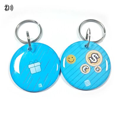 Custom 13.56MHz Programmable NTAG213 Smart Epoxy Keyfob Tag RFID Tag NFC Keychain